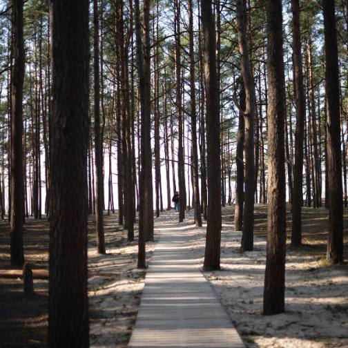 untitled design (32)